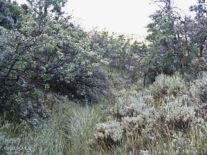 Park City, Utah 84098, United States, ,Land,Active,103772