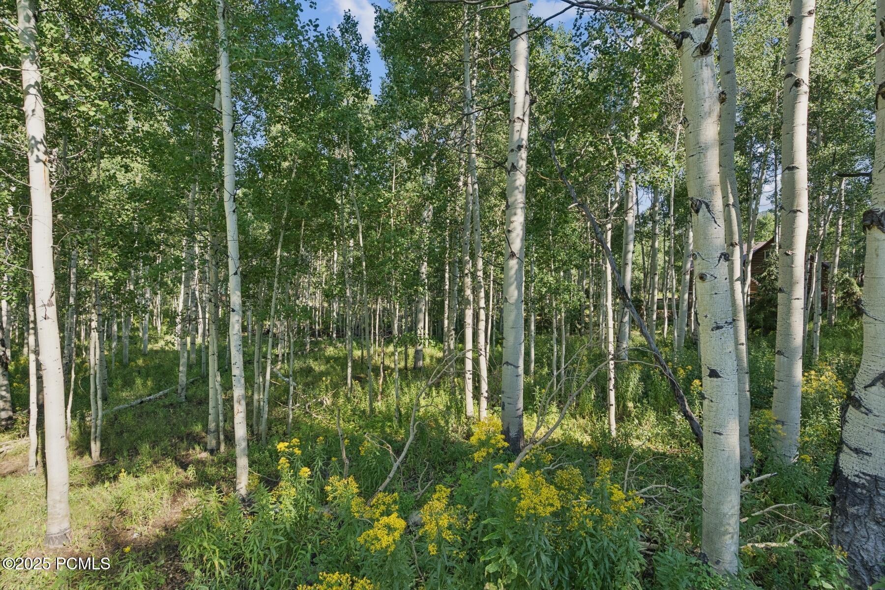 Heber City, Utah 84032, United States, ,Land,Active,184700