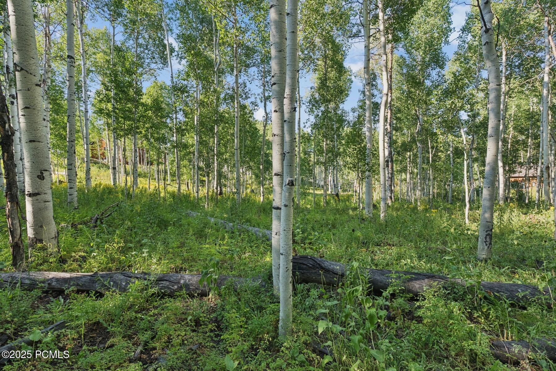 Heber City, Utah 84032, United States, ,Land,Active,184700