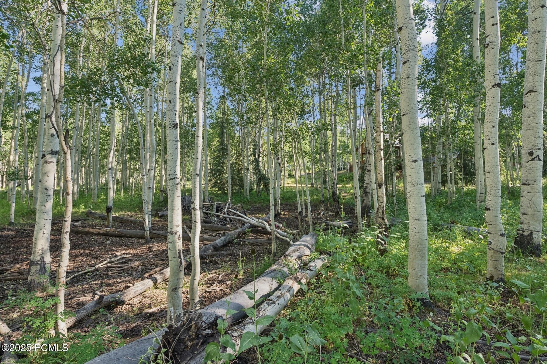 Heber City, Utah 84032, United States, ,Land,Active,184700