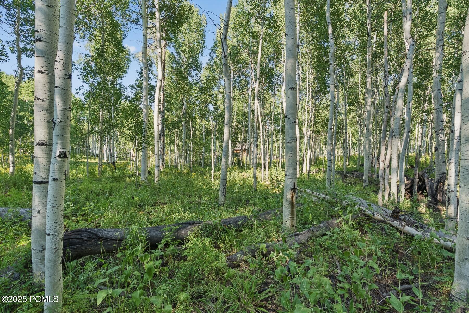 Heber City, Utah 84032, United States, ,Land,Active,184700