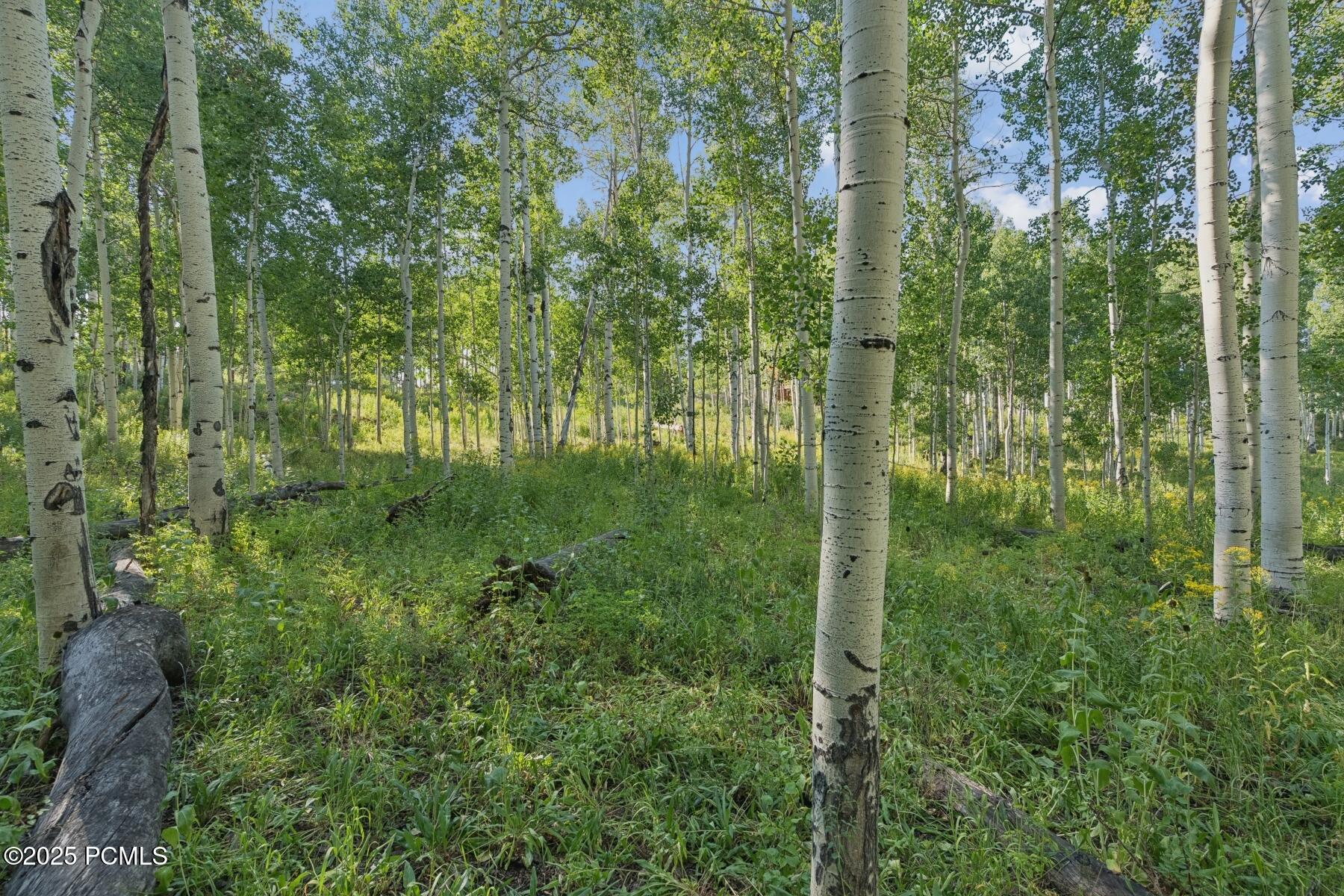 Heber City, Utah 84032, United States, ,Land,Active,184700