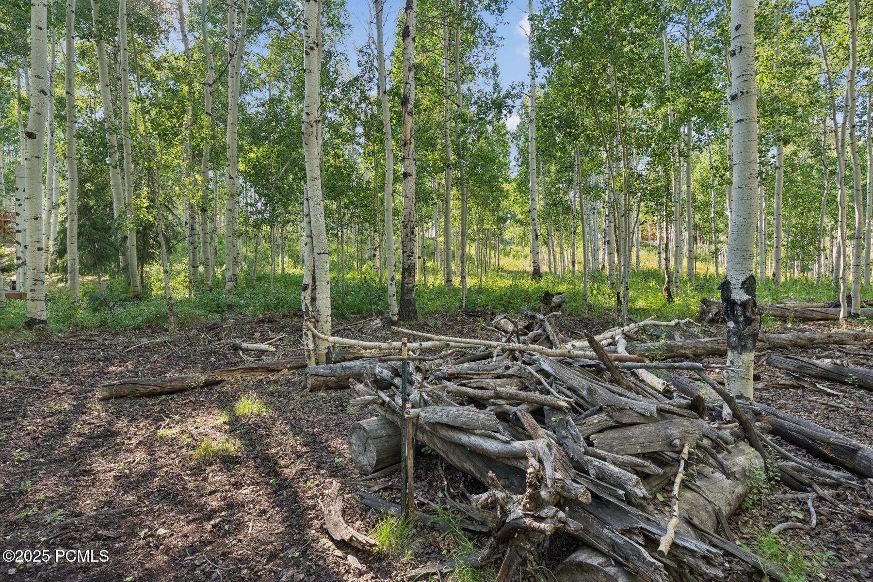 Heber City, Utah 84032, United States, ,Land,Active,184700