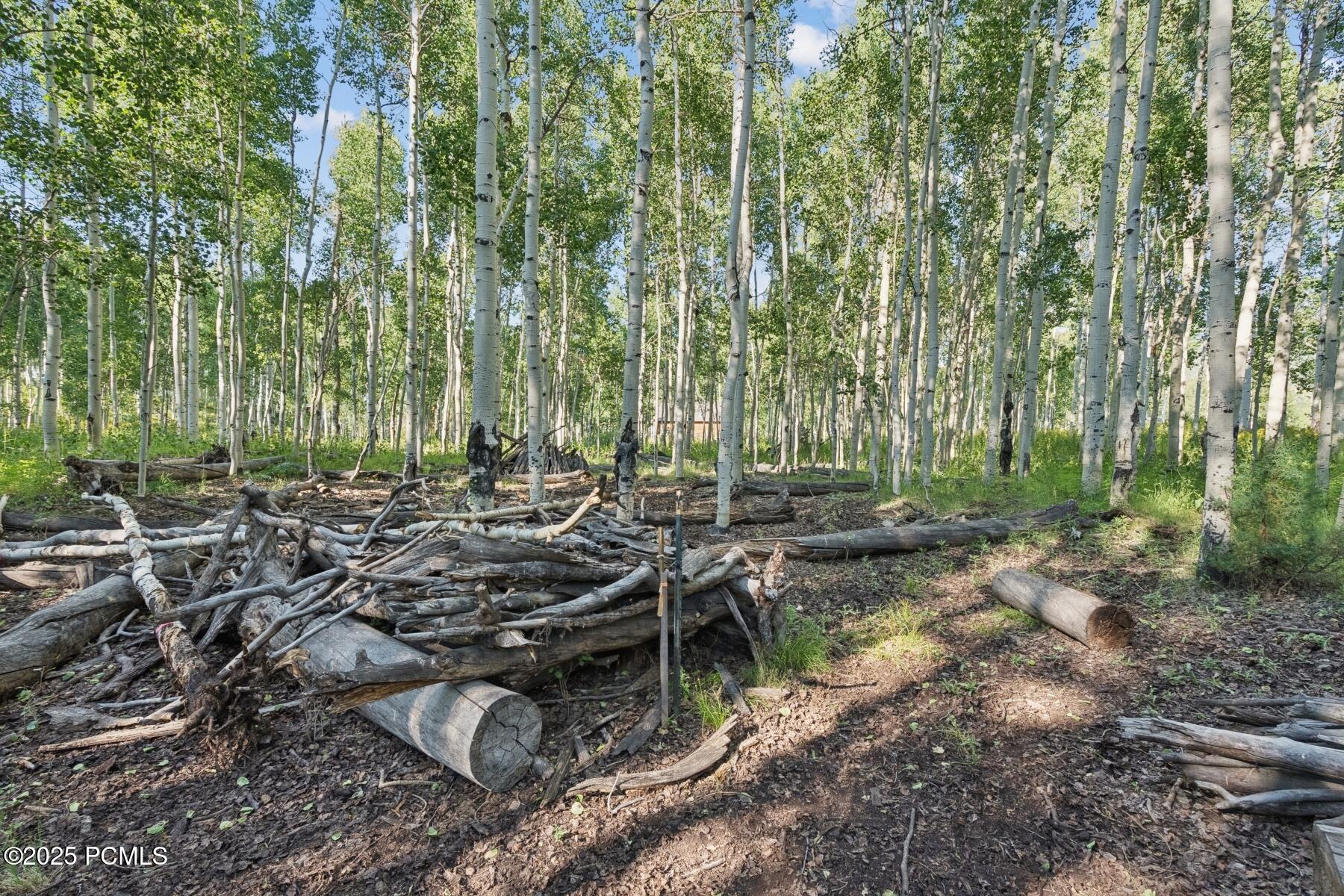 Heber City, Utah 84032, United States, ,Land,Active,184700