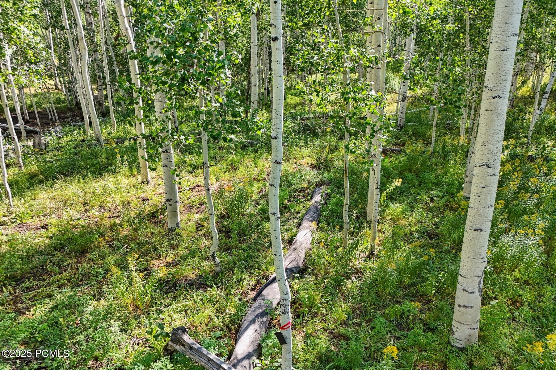 Heber City, Utah 84032, United States, ,Land,Active,184700