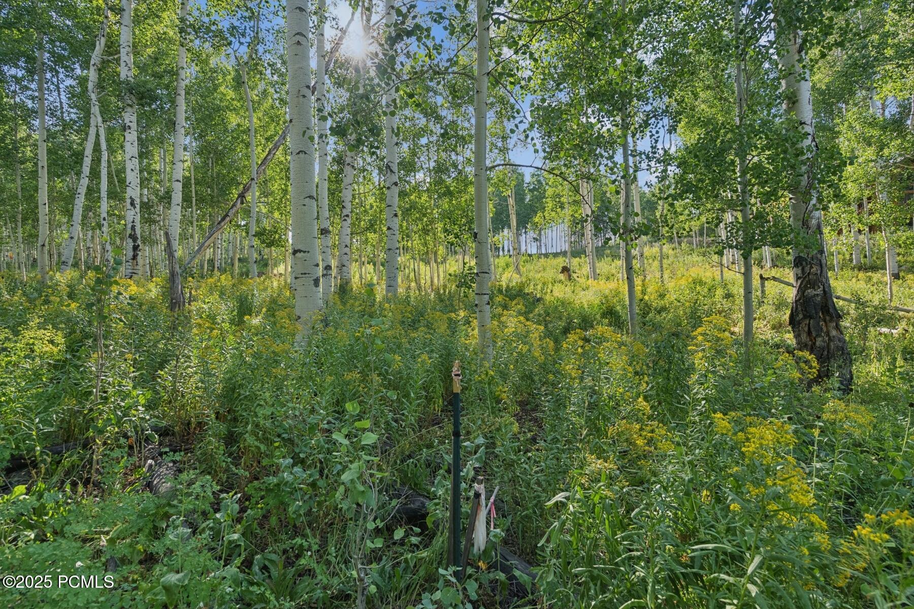 Heber City, Utah 84032, United States, ,Land,Active,184700