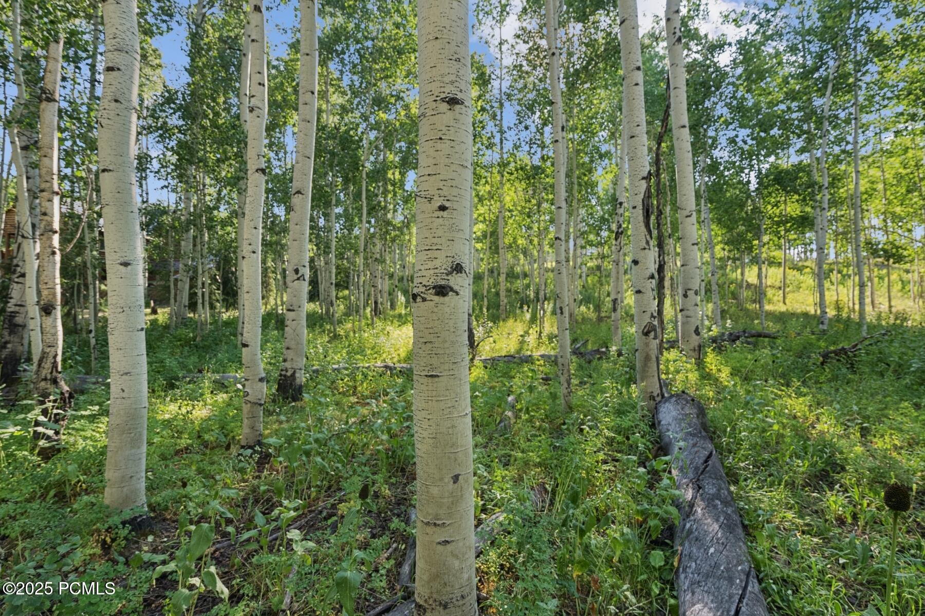 Heber City, Utah 84032, United States, ,Land,Active,184700