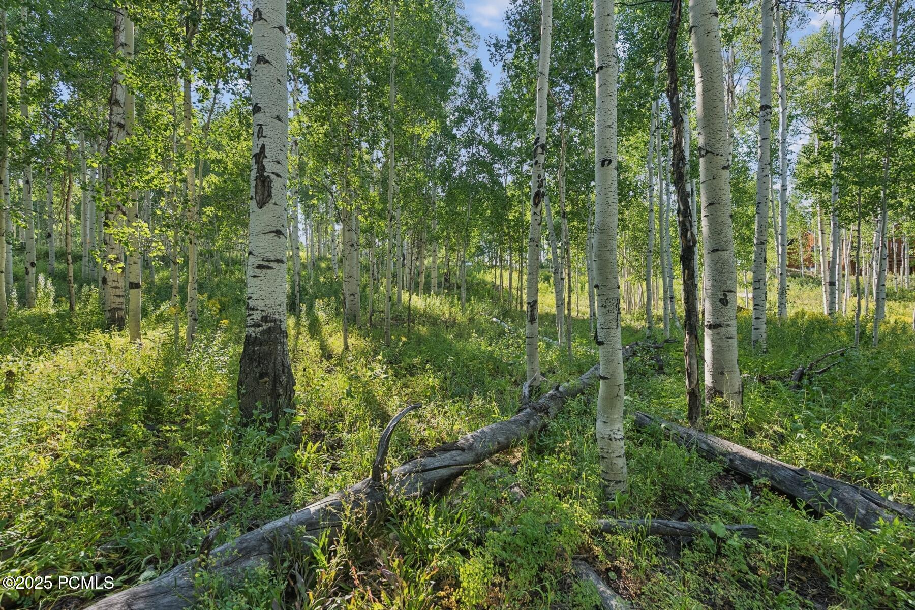 Heber City, Utah 84032, United States, ,Land,Active,184700