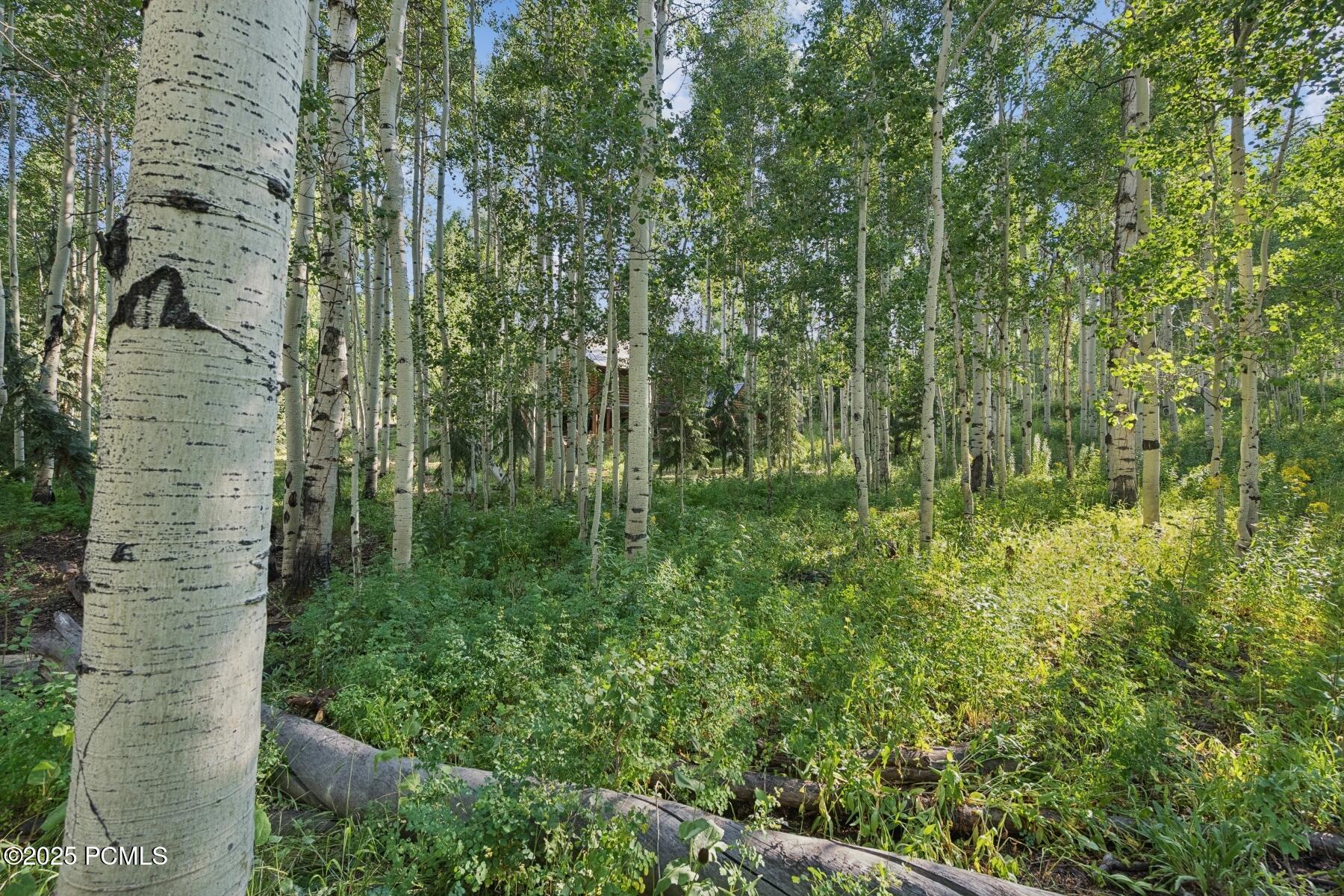 Heber City, Utah 84032, United States, ,Land,Active,184700