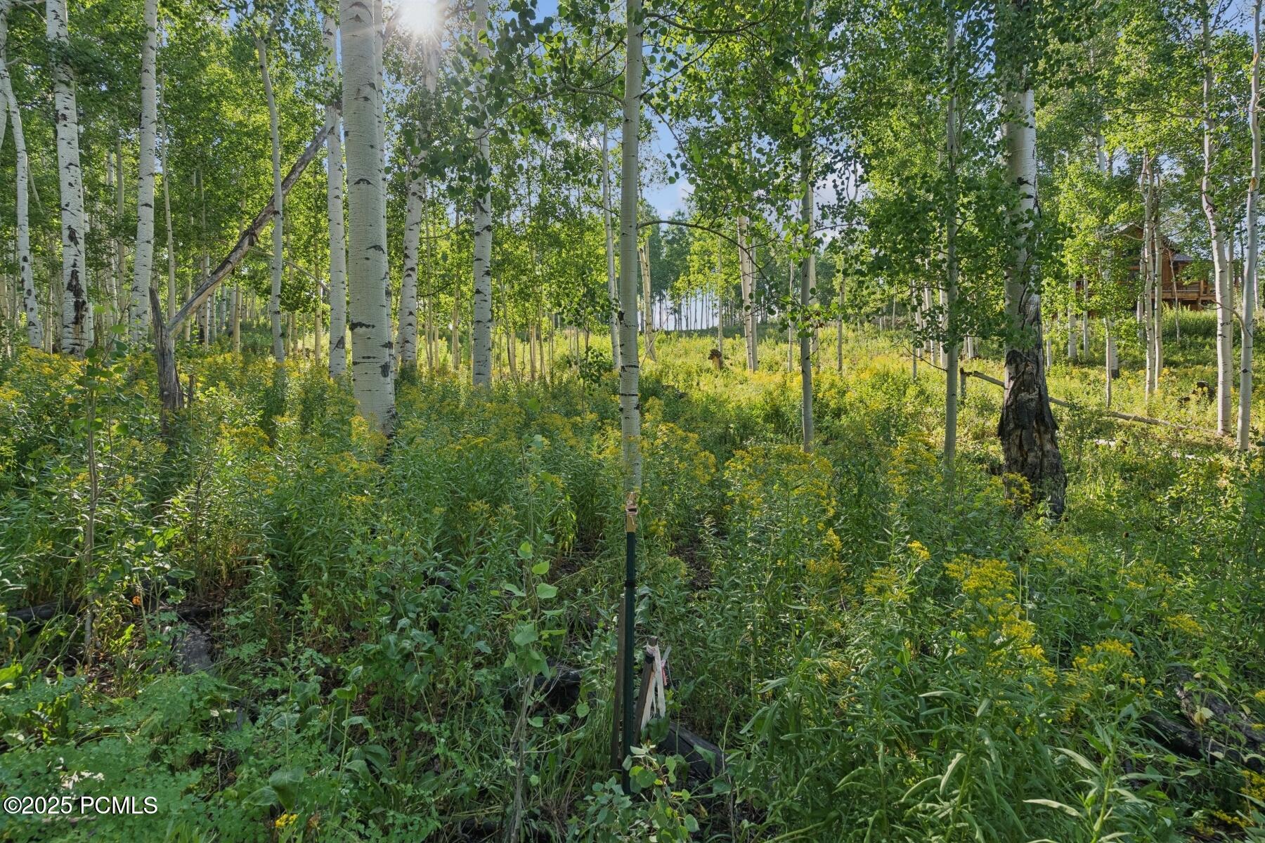 Heber City, Utah 84032, United States, ,Land,Active,184700