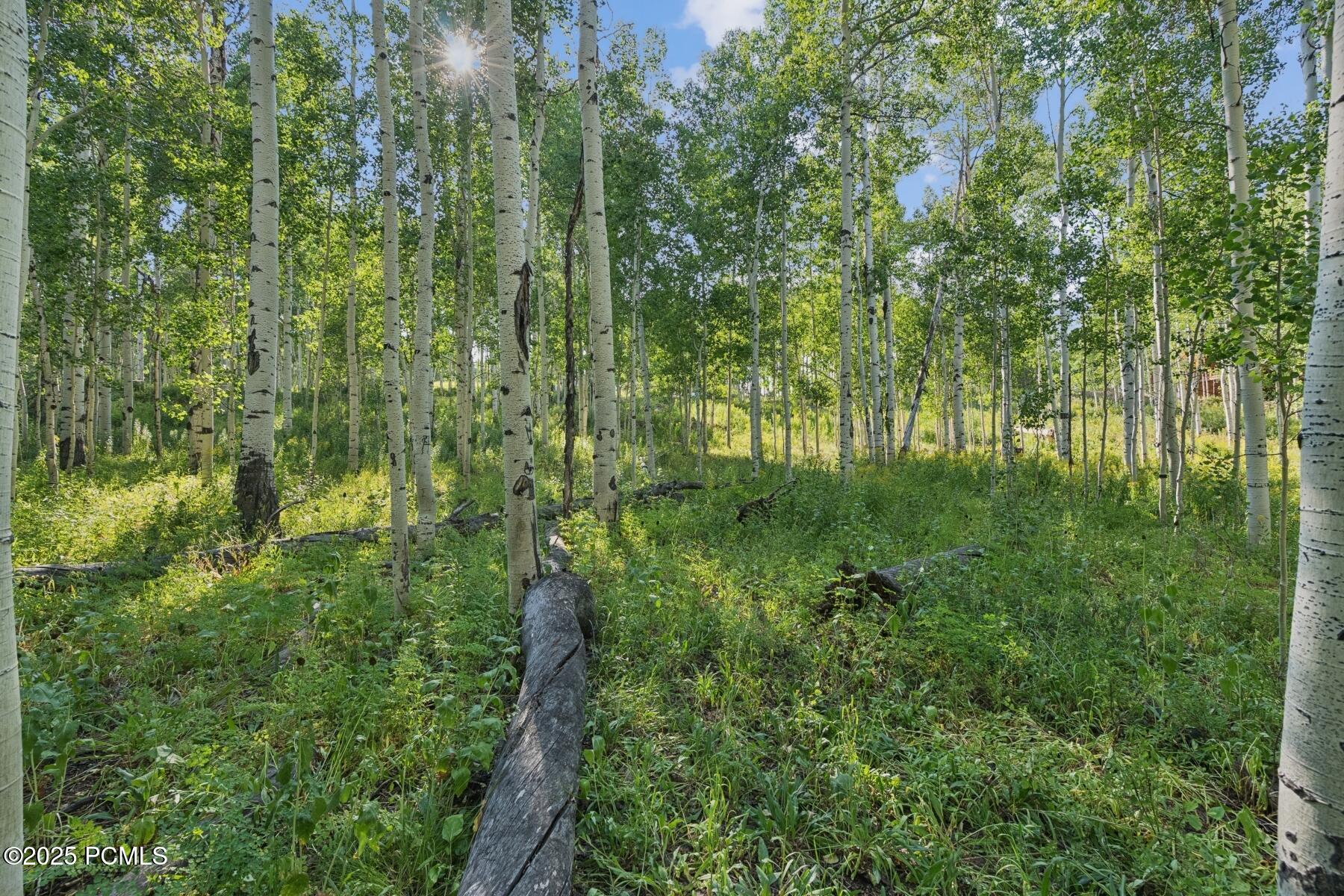 Heber City, Utah 84032, United States, ,Land,Active,184700