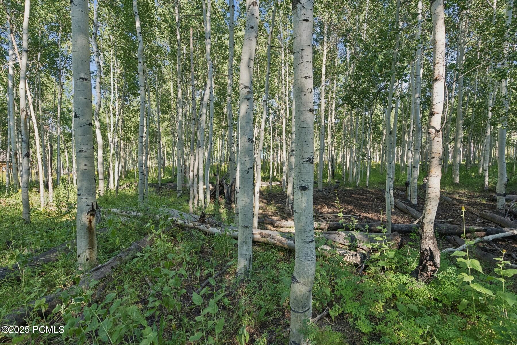 Heber City, Utah 84032, United States, ,Land,Active,184700