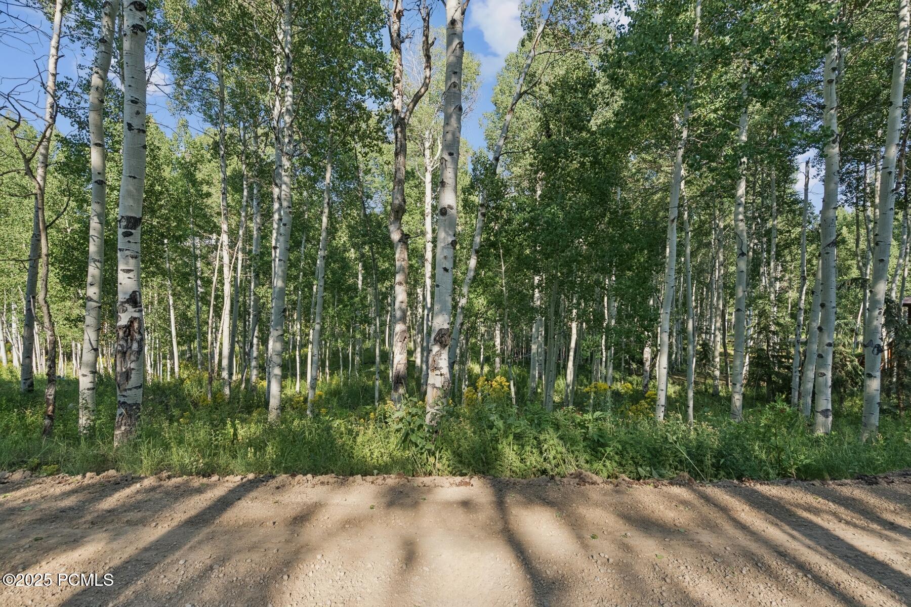 Heber City, Utah 84032, United States, ,Land,Active,184700