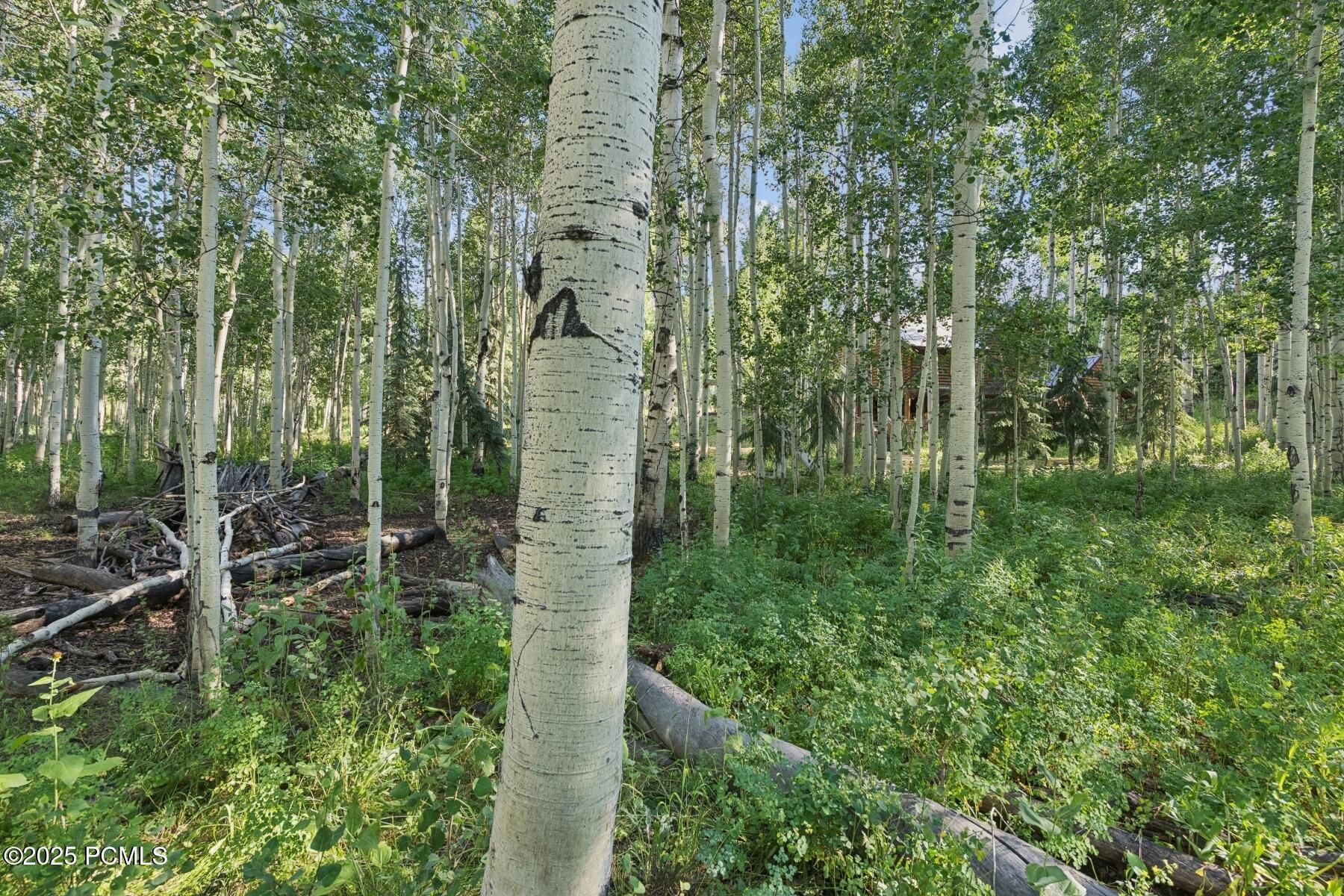 Heber City, Utah 84032, United States, ,Land,Active,184700