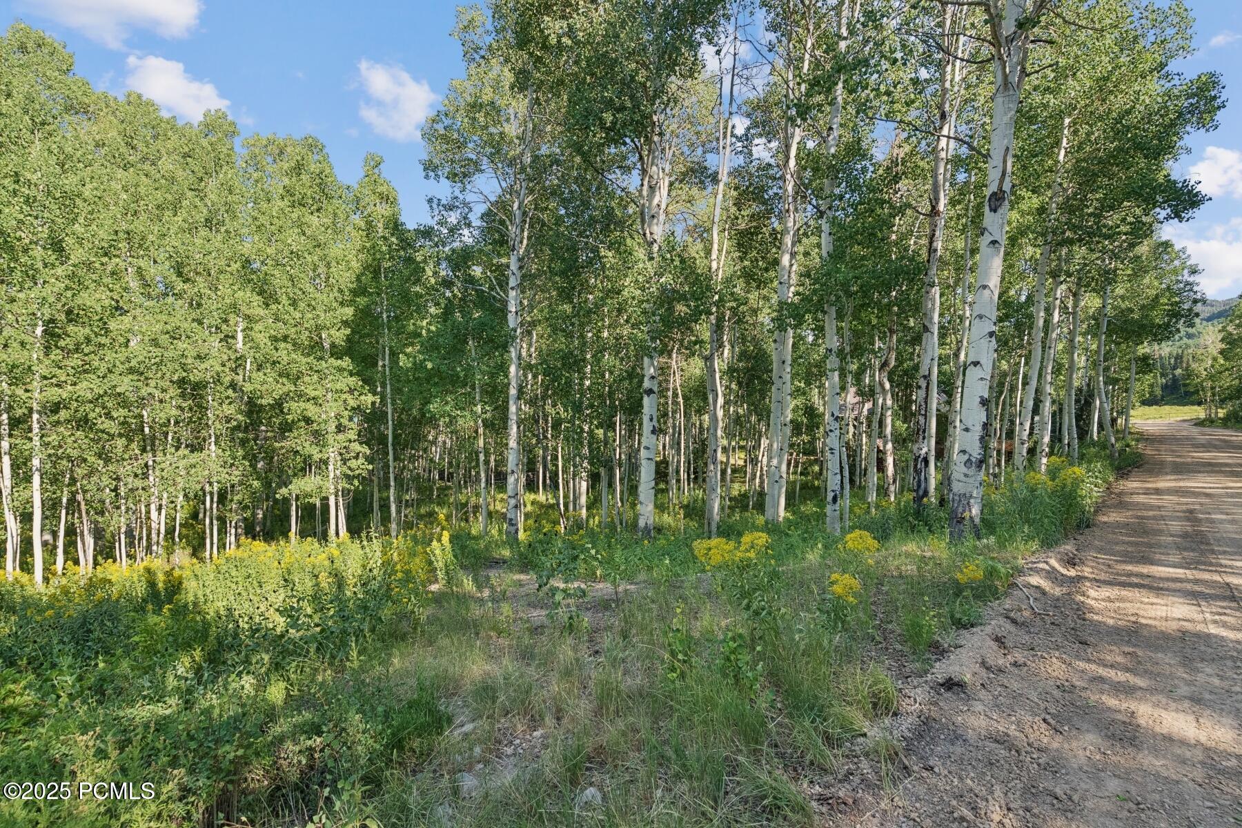 Heber City, Utah 84032, United States, ,Land,Active,184700