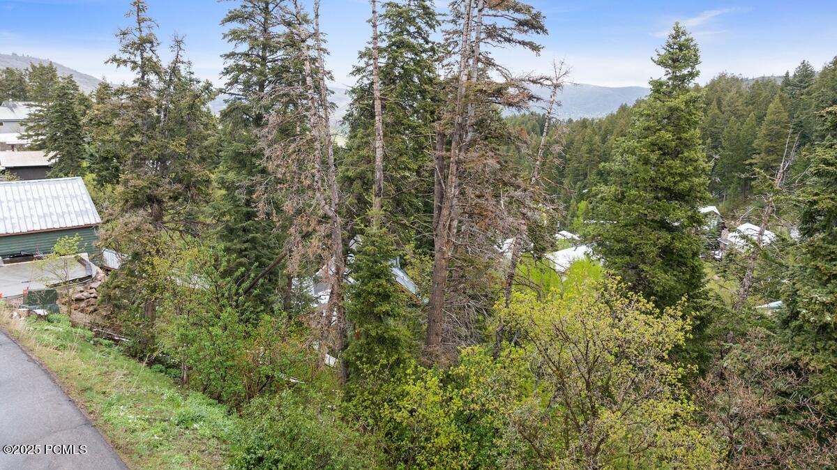 165 Paradise Road, Park City, Utah image 10