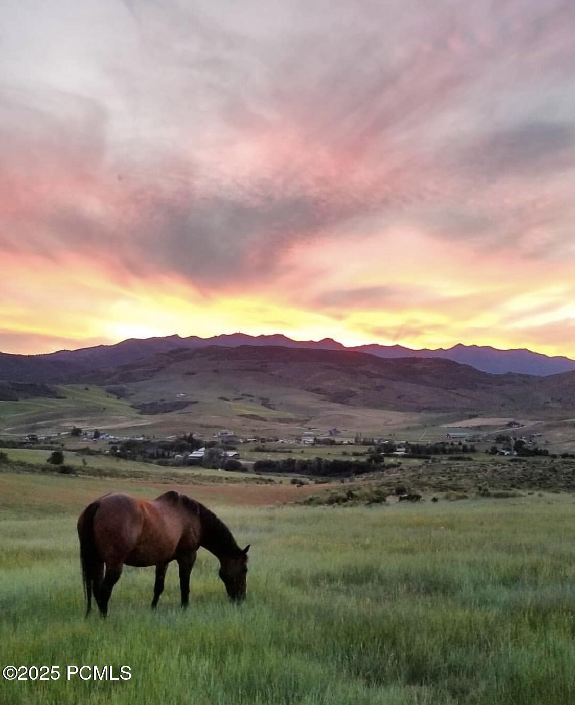 288 Woods Creek Road, Morgan, Utah image 50