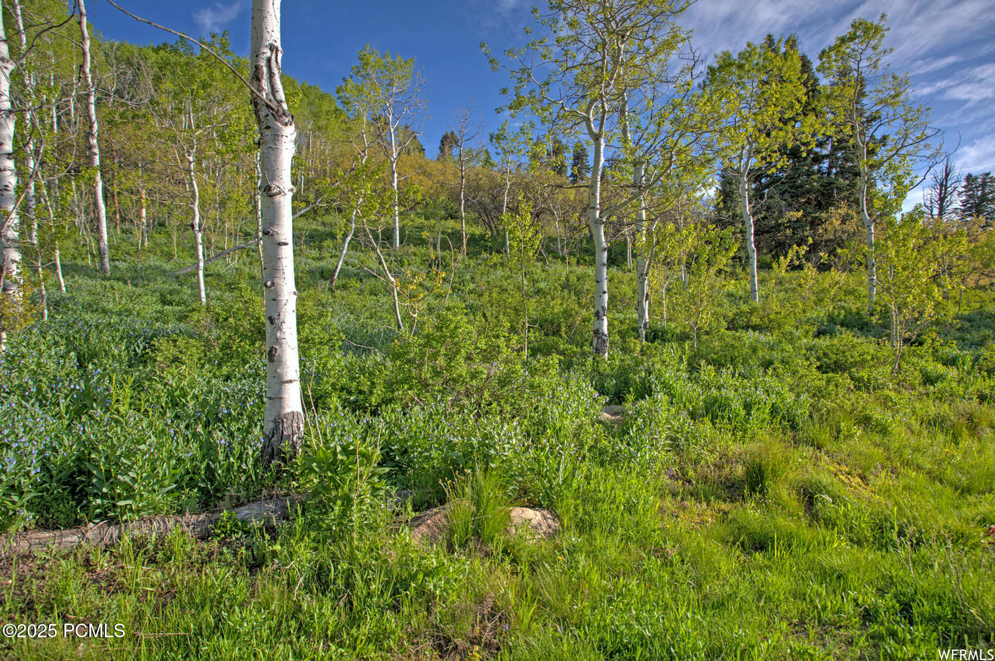1986 Pine Meadow Drive, Coalville, Utah image 9