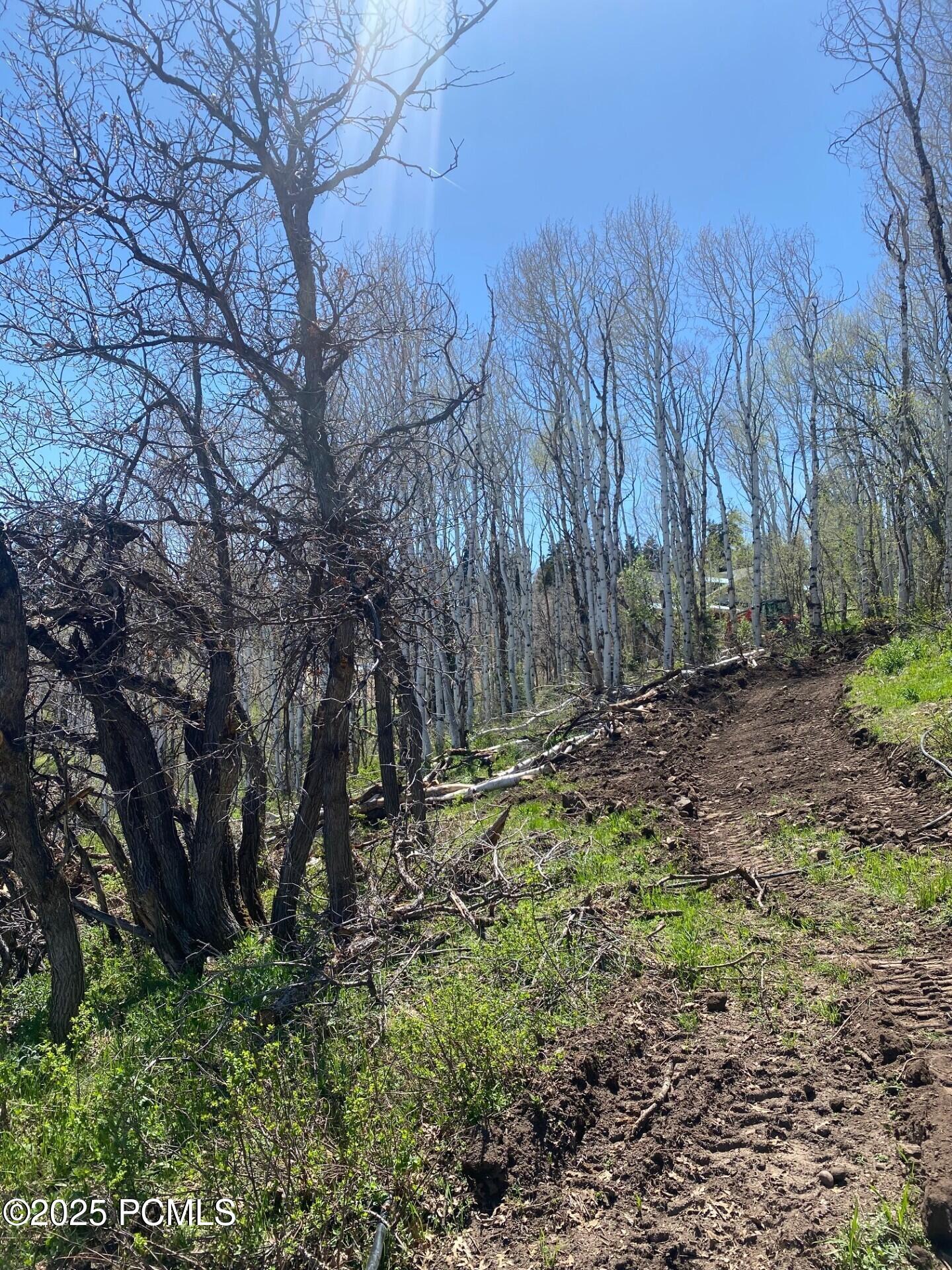 1986 Pine Meadow Drive, Coalville, Utah image 18
