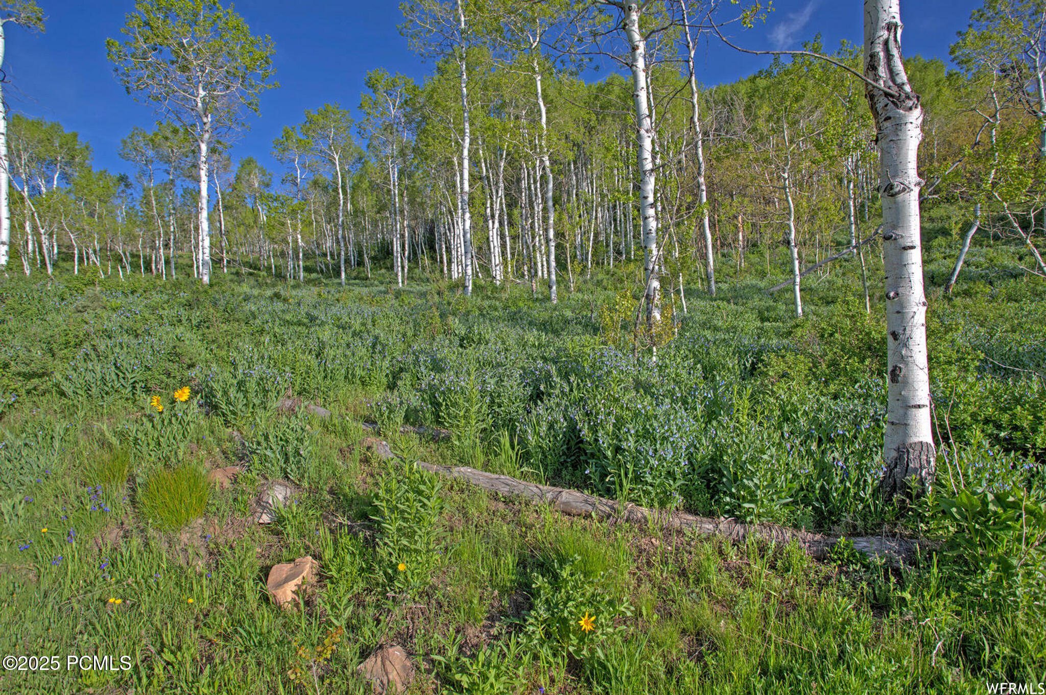 1986 Pine Meadow Drive, Coalville, Utah image 3