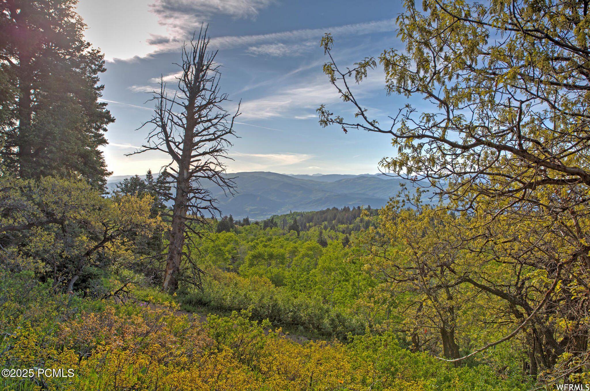 1986 Pine Meadow Drive, Coalville, Utah image 1