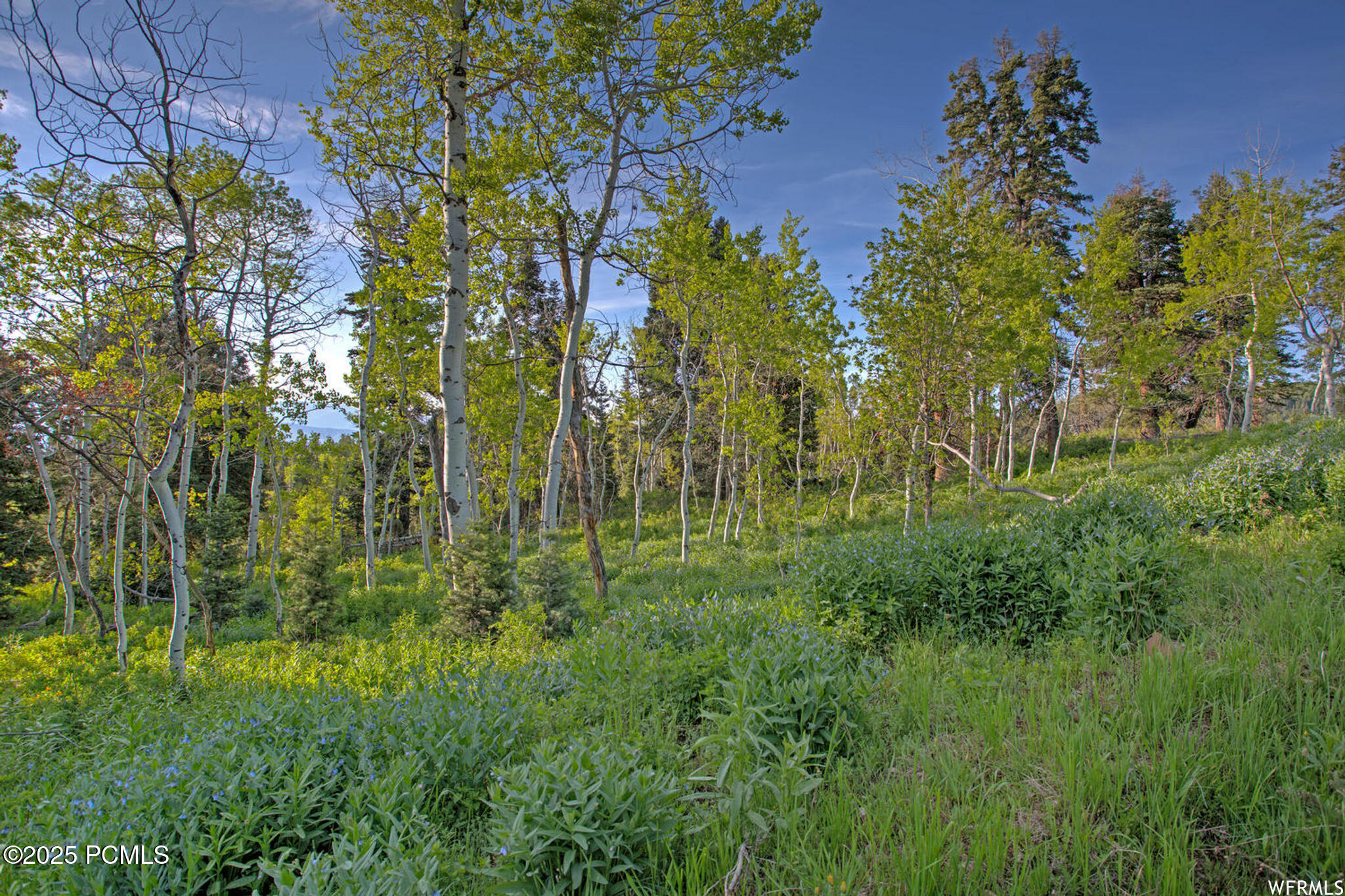 1986 Pine Meadow Drive, Coalville, Utah image 7