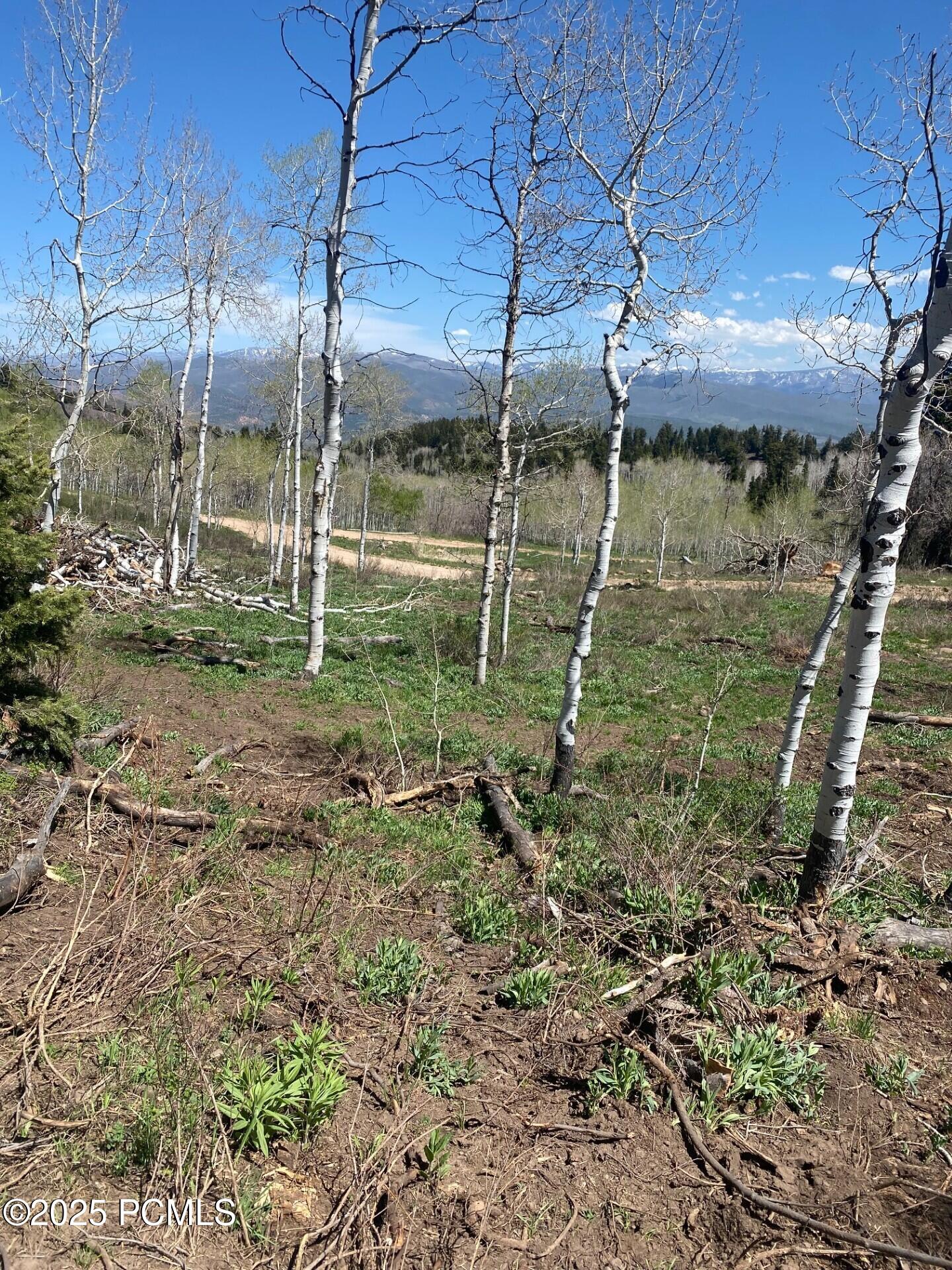 1986 Pine Meadow Drive, Coalville, Utah image 11