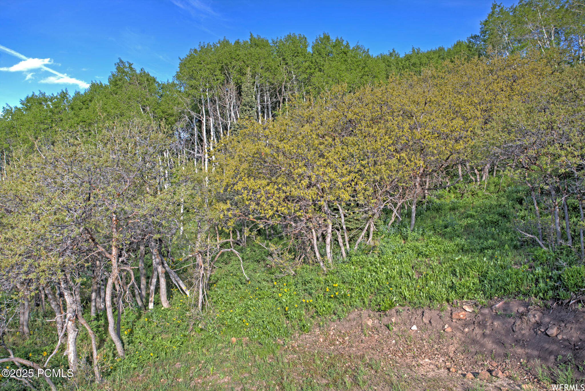 1986 Pine Meadow Drive, Coalville, Utah image 6