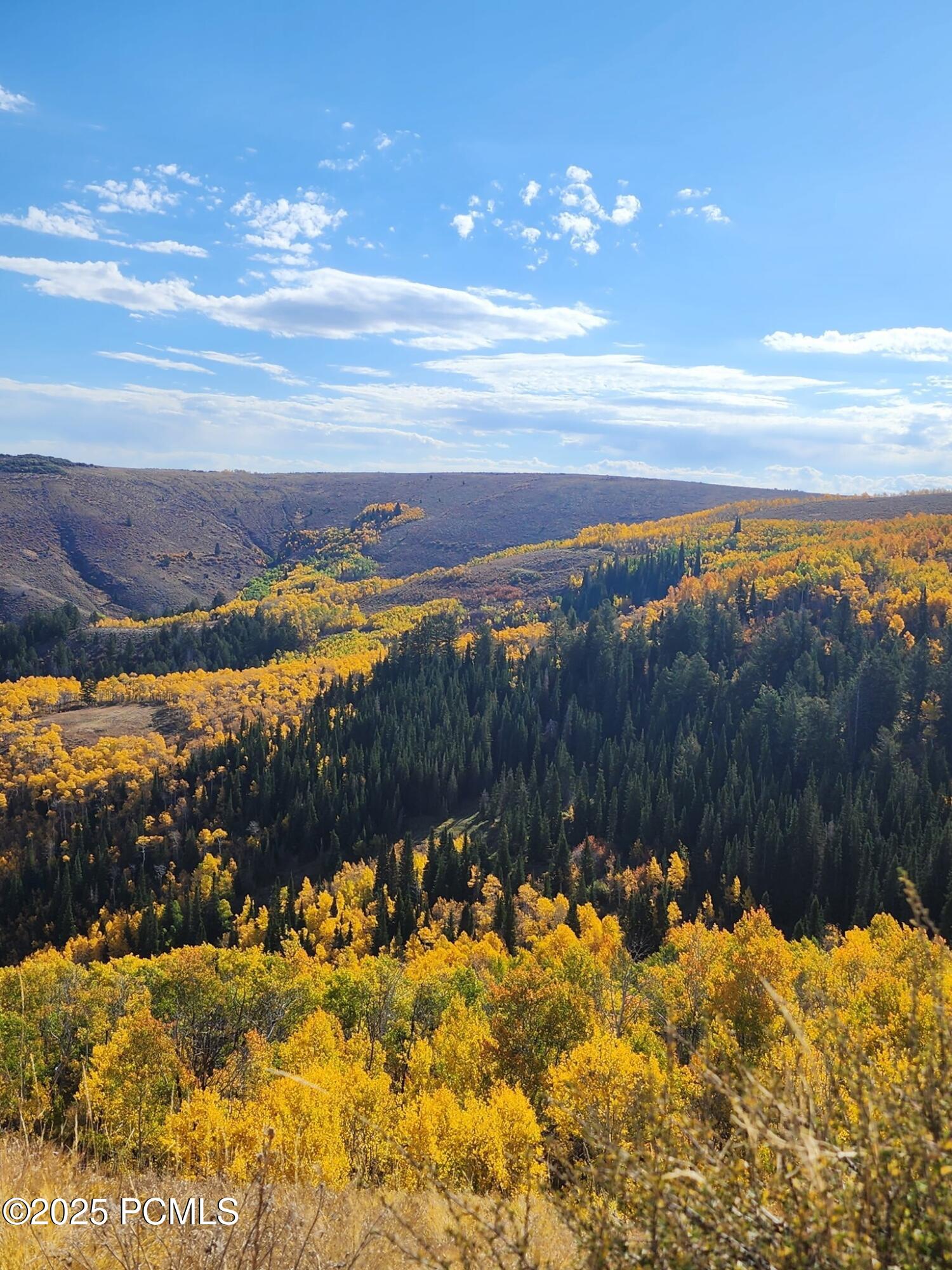 Woodruff Creek Road Road, Woodruff, Utah image 3