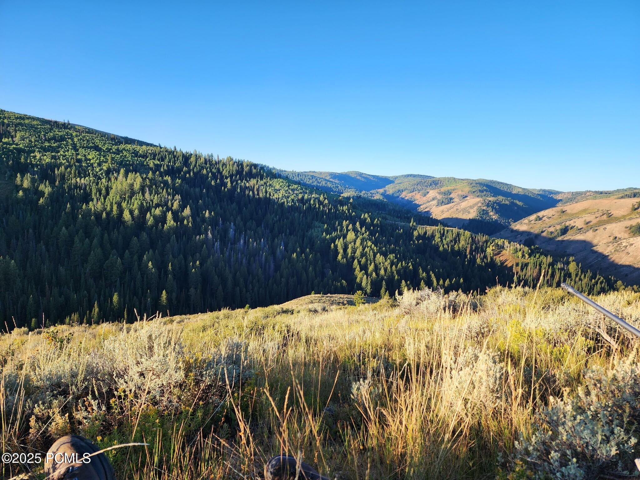 Woodruff Creek Road Road, Woodruff, Utah image 2