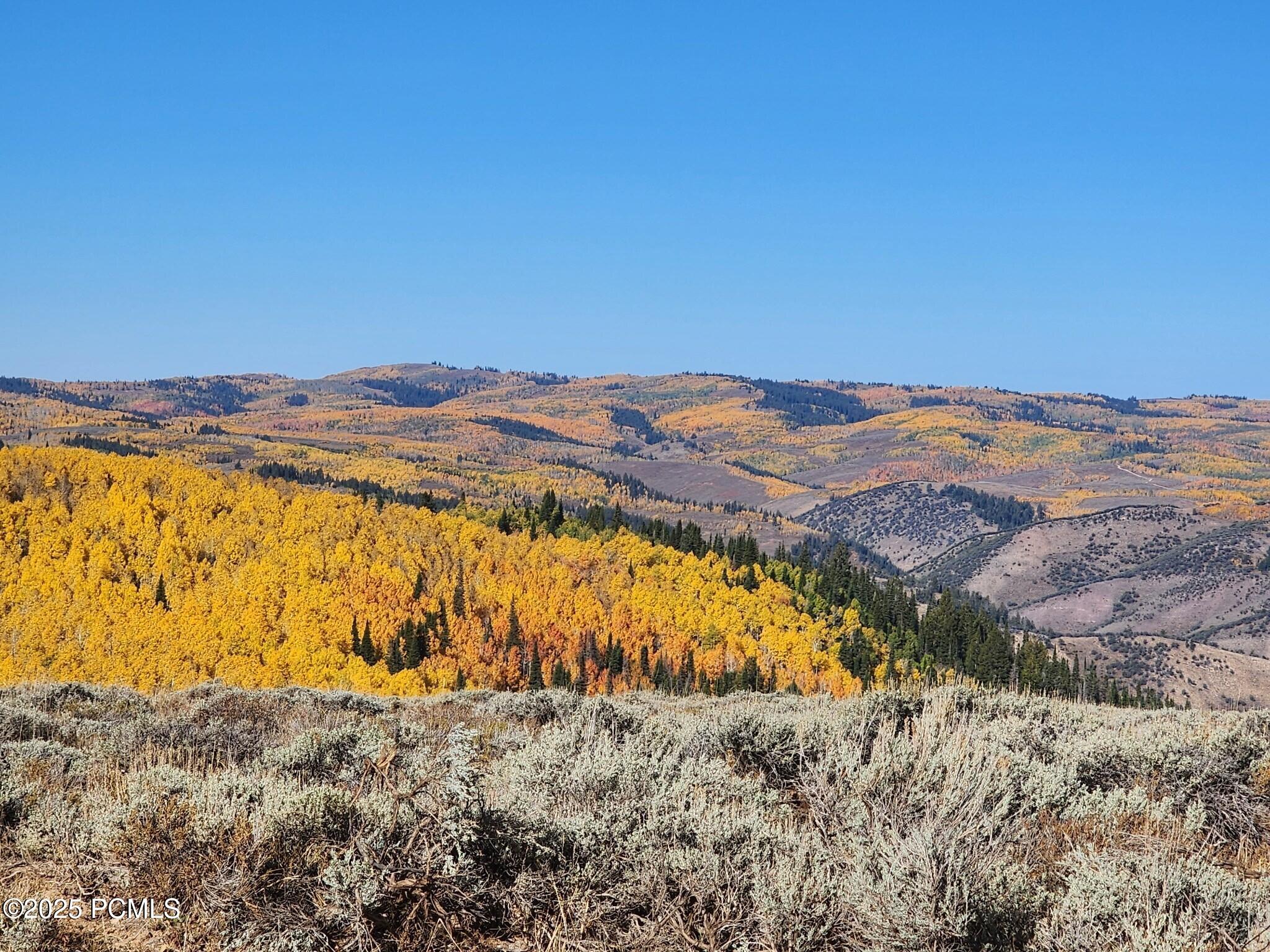 Woodruff Creek Road Road, Woodruff, Utah image 4