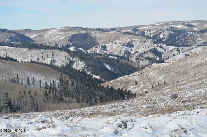 Woodruff Creek Road Road, Woodruff, Utah image 5
