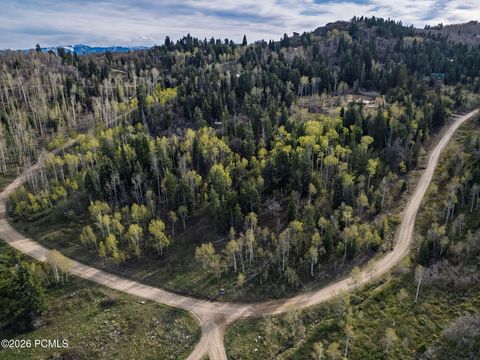 Vacant Land For Sale - 2462 S Bull Moose Drive<br/> Summit County, Coalville, UT 84017