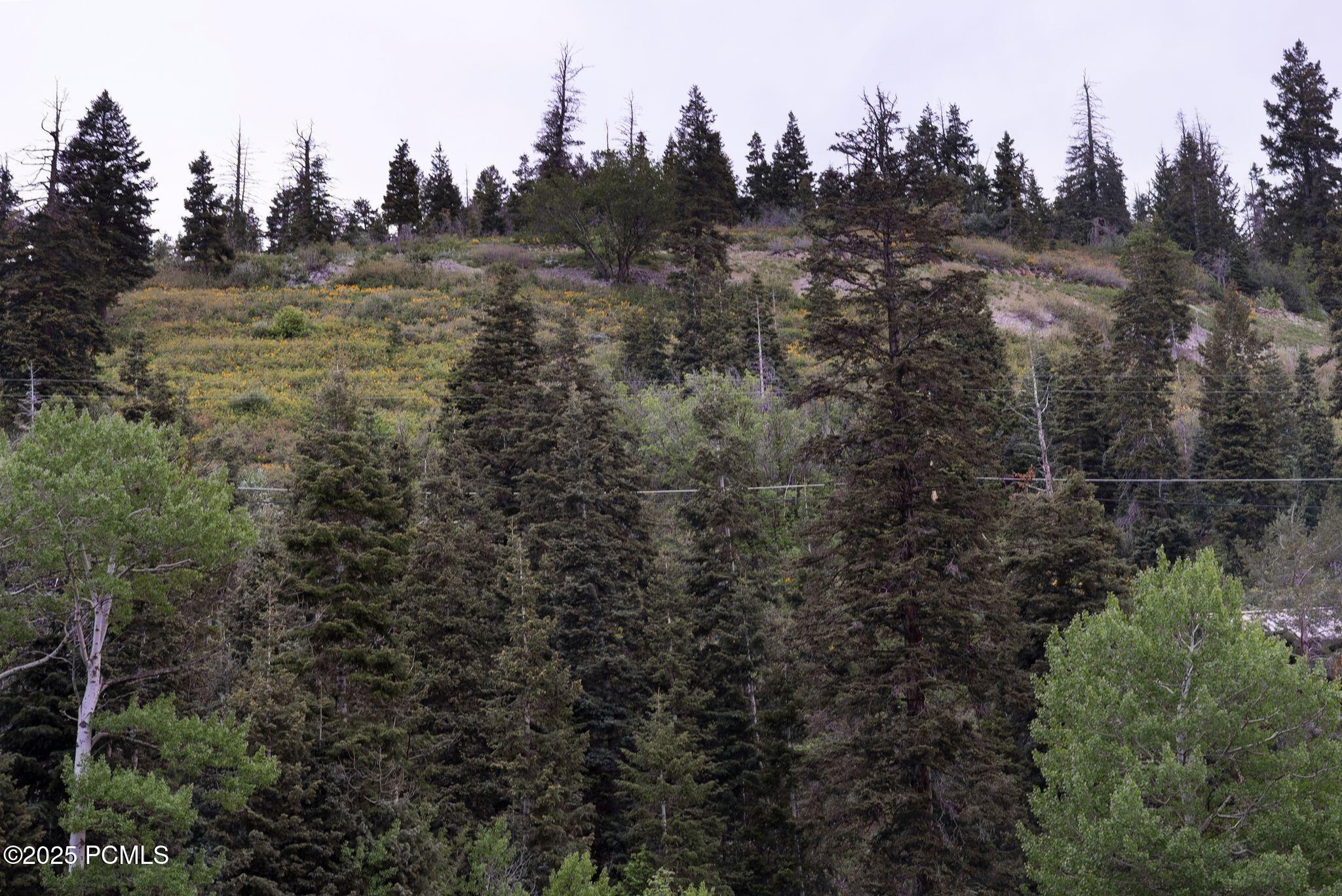 705 Parkview Drive, Park City, Utah image 18