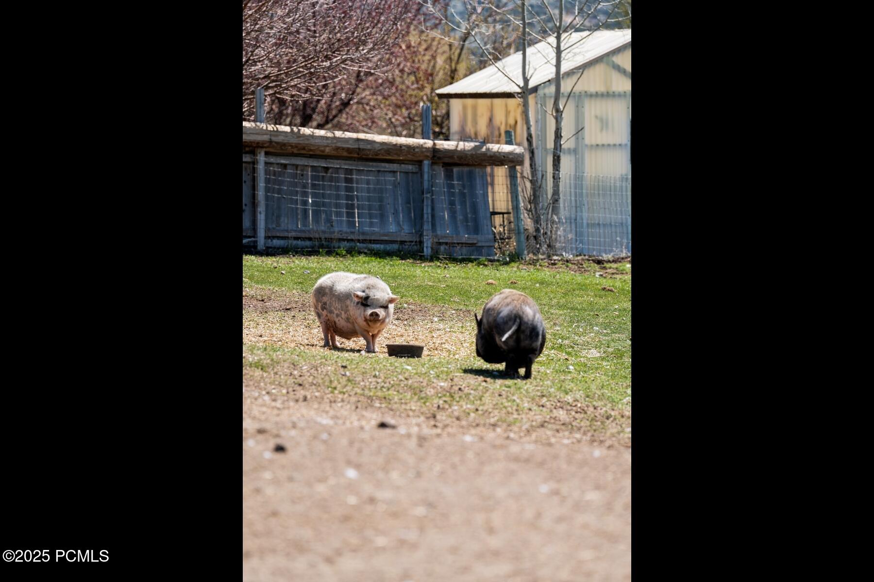 Wanship, Utah 84017, United States, 3 Bedrooms Bedrooms, ,2 BathroomsBathrooms,Residential,Active,115636