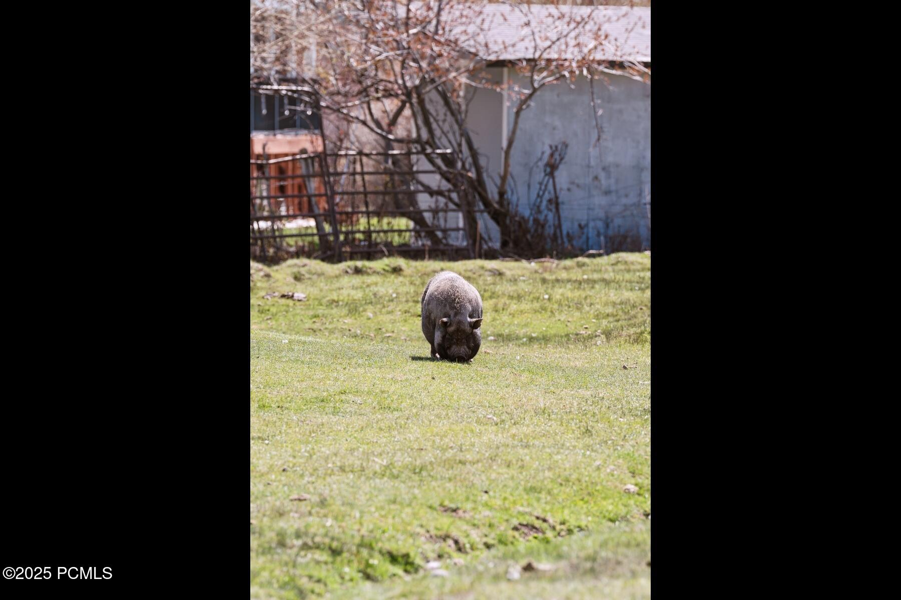 Wanship, Utah 84017, United States, 3 Bedrooms Bedrooms, ,2 BathroomsBathrooms,Residential,Active,115636