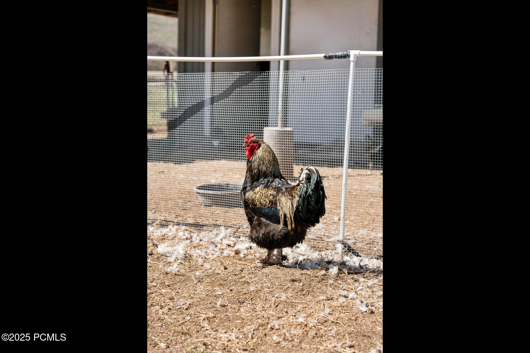 Wanship, Utah 84017, United States, 3 Bedrooms Bedrooms, ,2 BathroomsBathrooms,Residential,Active,115636