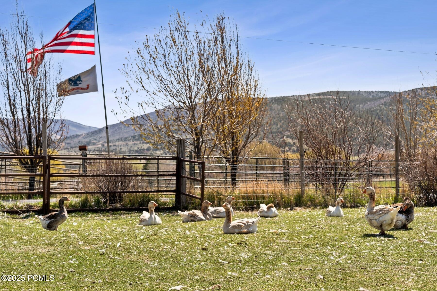 Wanship, Utah 84017, United States, 3 Bedrooms Bedrooms, ,2 BathroomsBathrooms,Residential,Active,115636