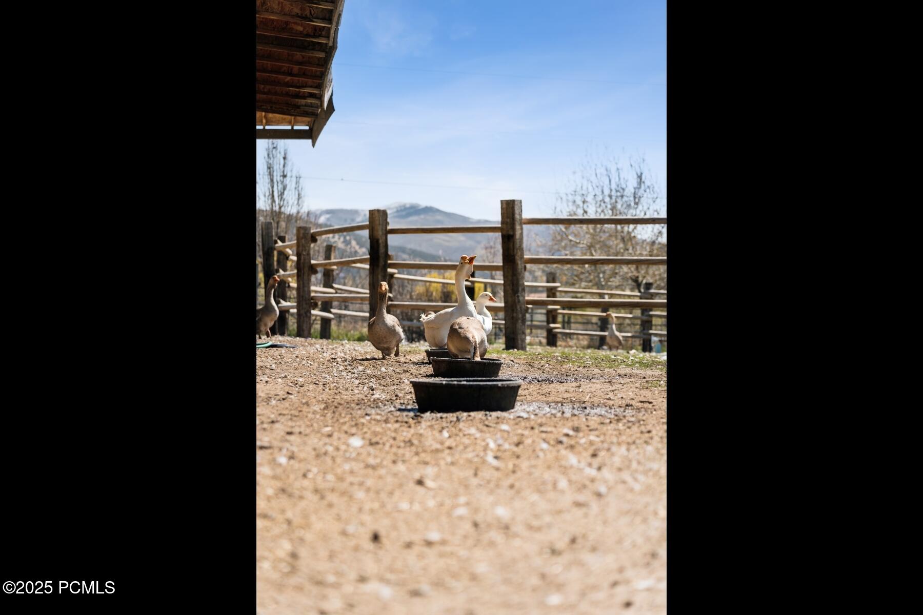 Wanship, Utah 84017, United States, 3 Bedrooms Bedrooms, ,2 BathroomsBathrooms,Residential,Active,115636