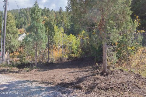 Vacant Land For Sale - 3716 Chokecherry Ln Lane<br/> Kamas, UT 84036