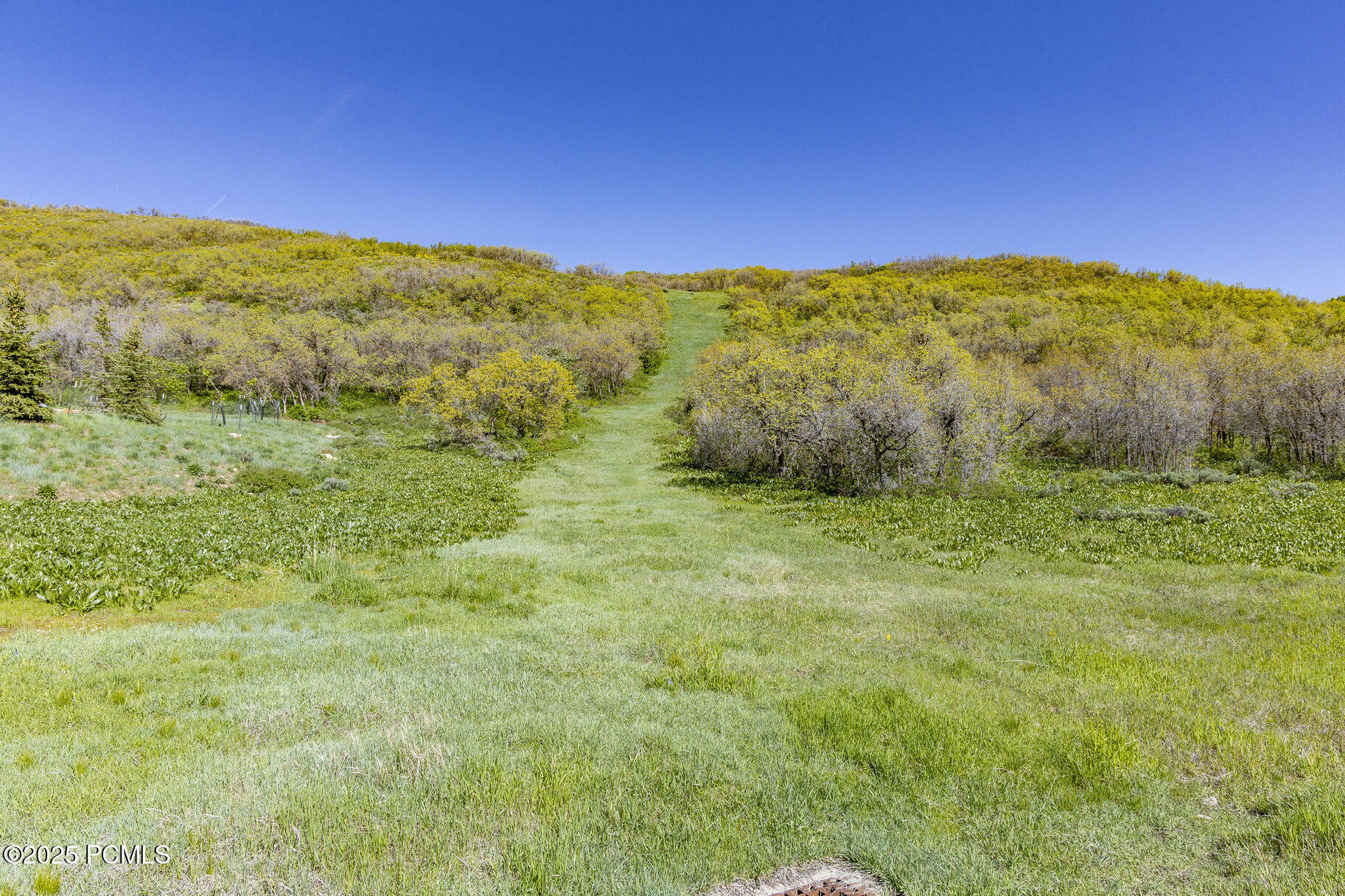9029 Quail Ridge Lane, Park City, Utah image 5