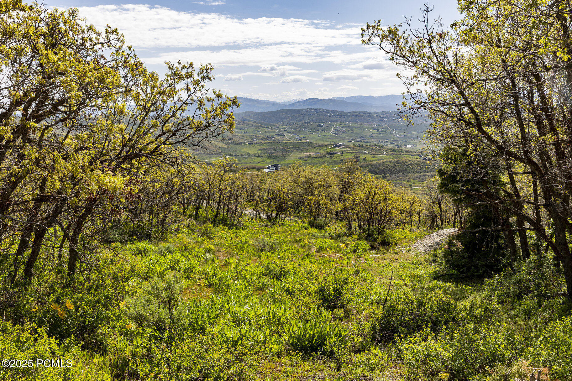 9029 Quail Ridge Lane, Park City, Utah image 19