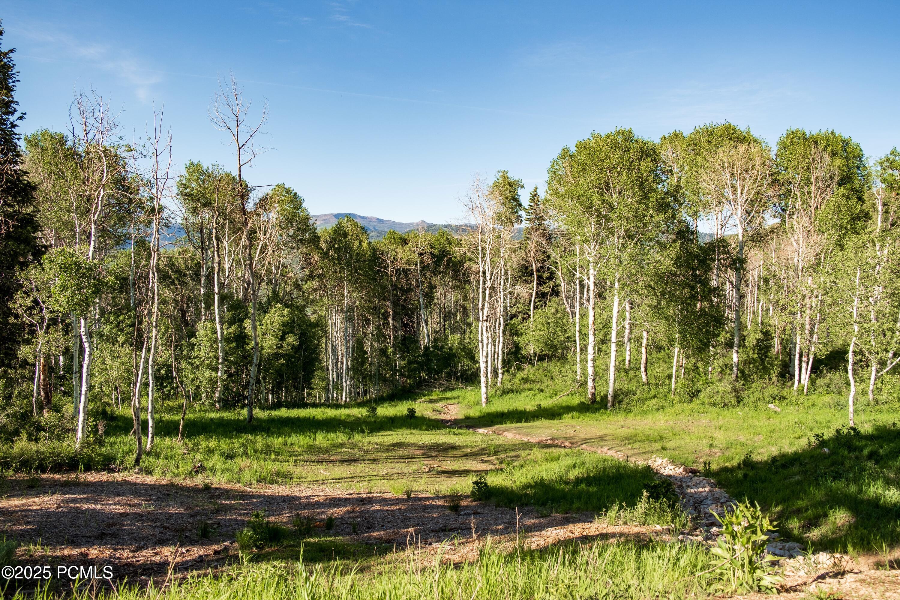 3530 N Wolf Creek Ranch Road, Kamas, Utah image 14