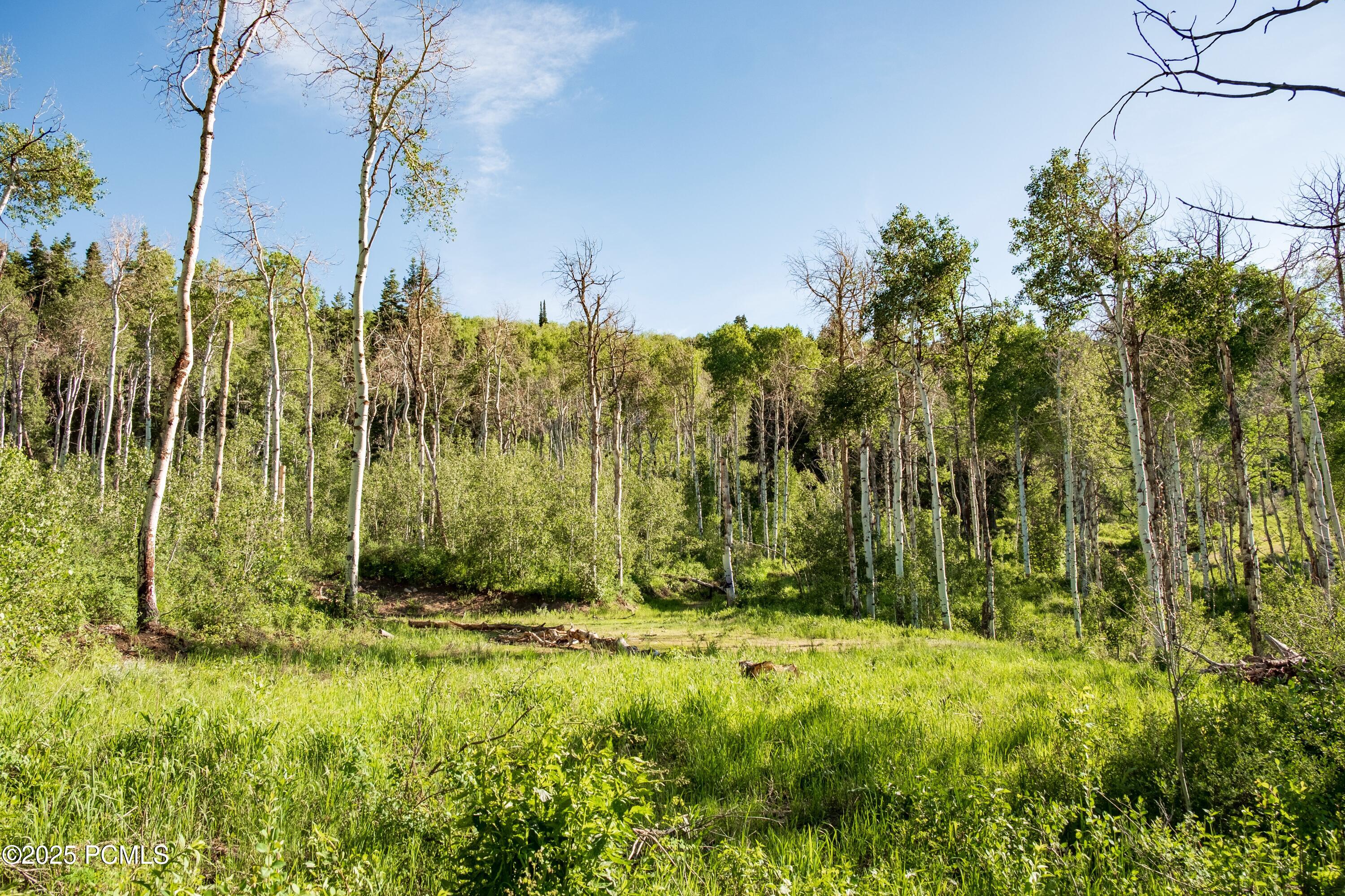3530 N Wolf Creek Ranch Road, Kamas, Utah image 13