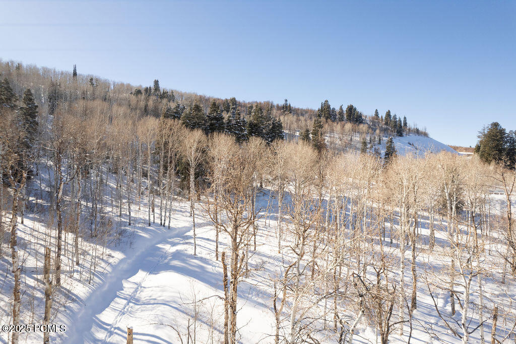 3530 N Wolf Creek Ranch Road, Kamas, Utah image 13