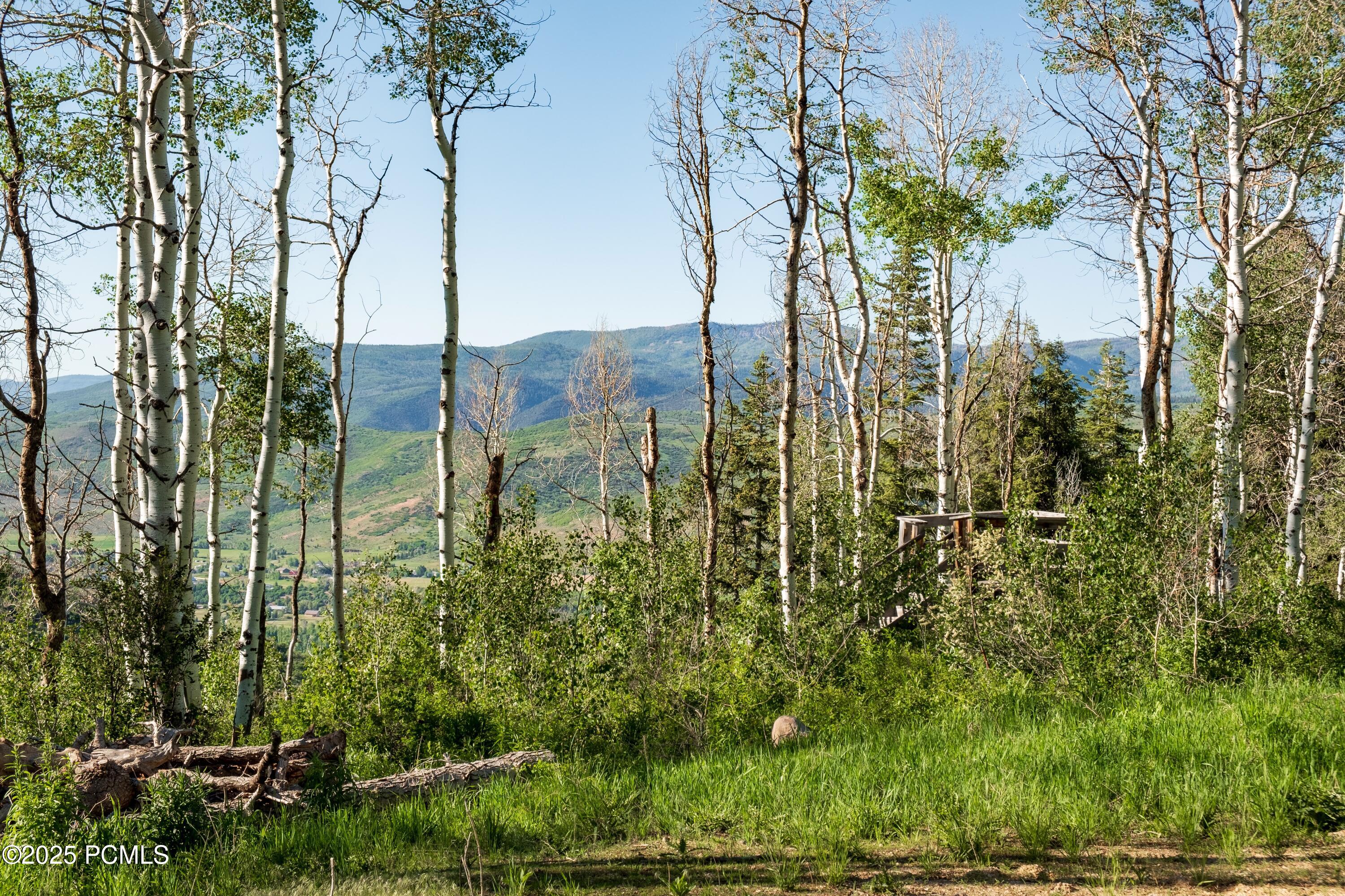 3530 N Wolf Creek Ranch Road, Kamas, Utah image 11