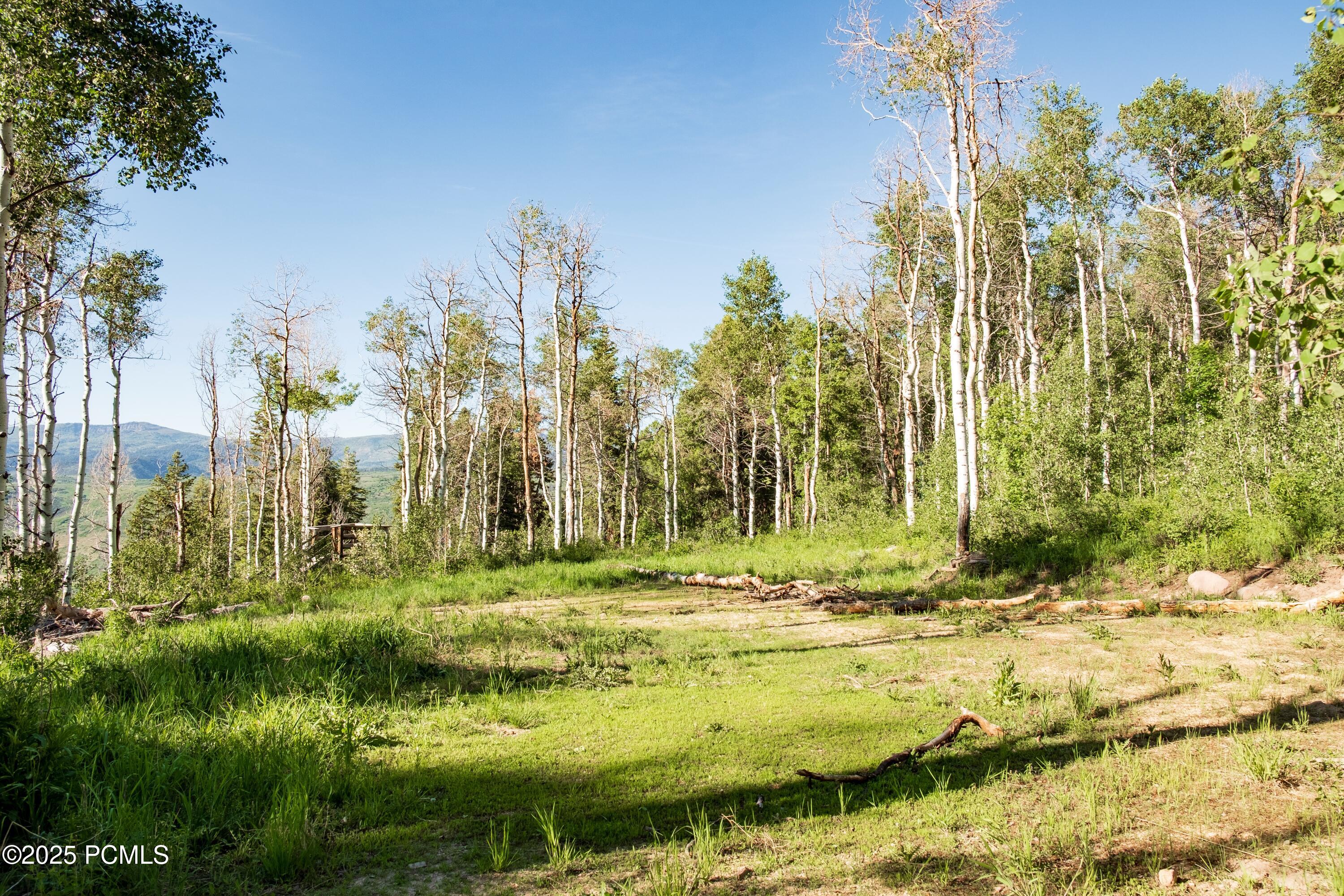 3530 N Wolf Creek Ranch Road, Kamas, Utah image 9