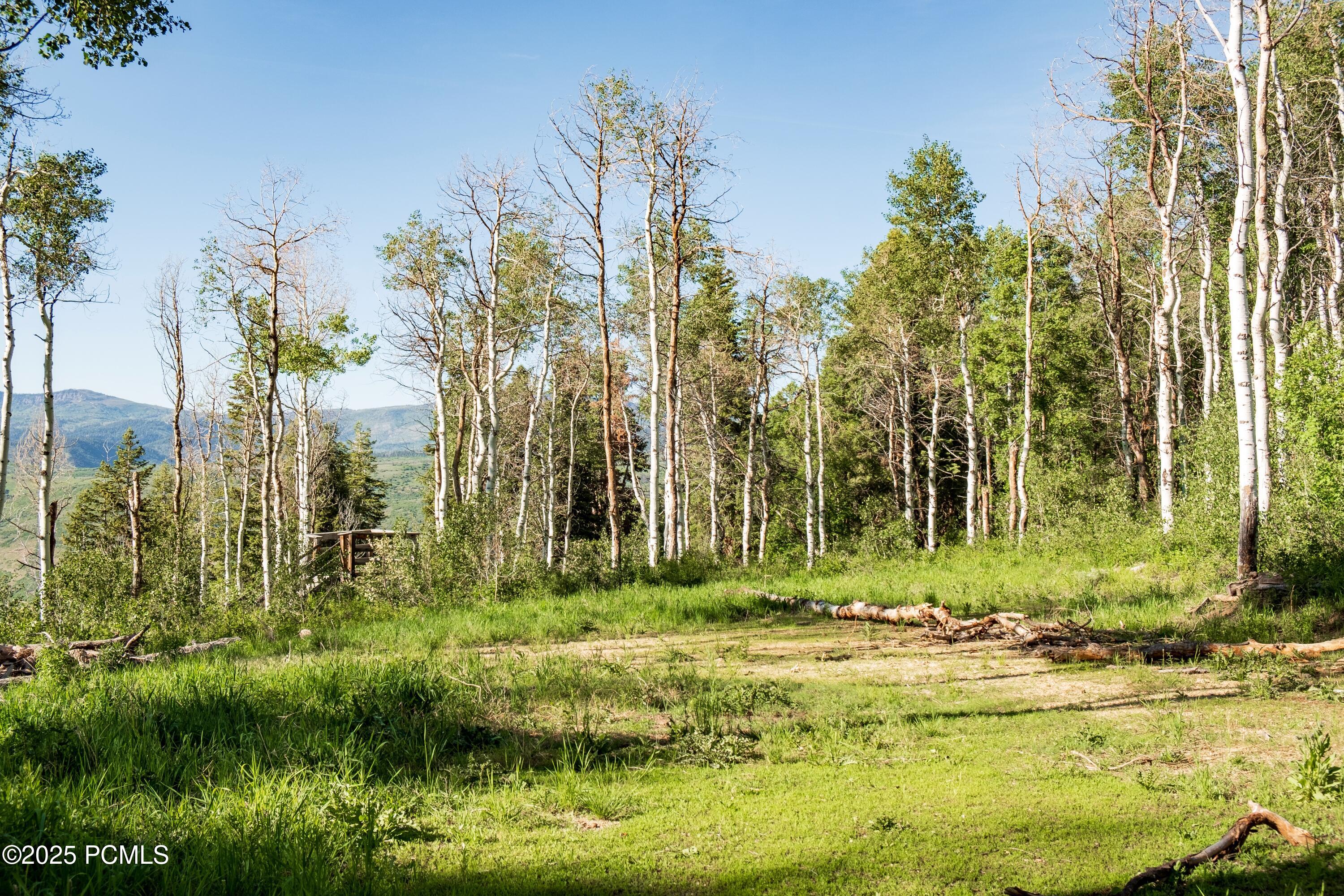 3530 N Wolf Creek Ranch Road, Kamas, Utah image 10