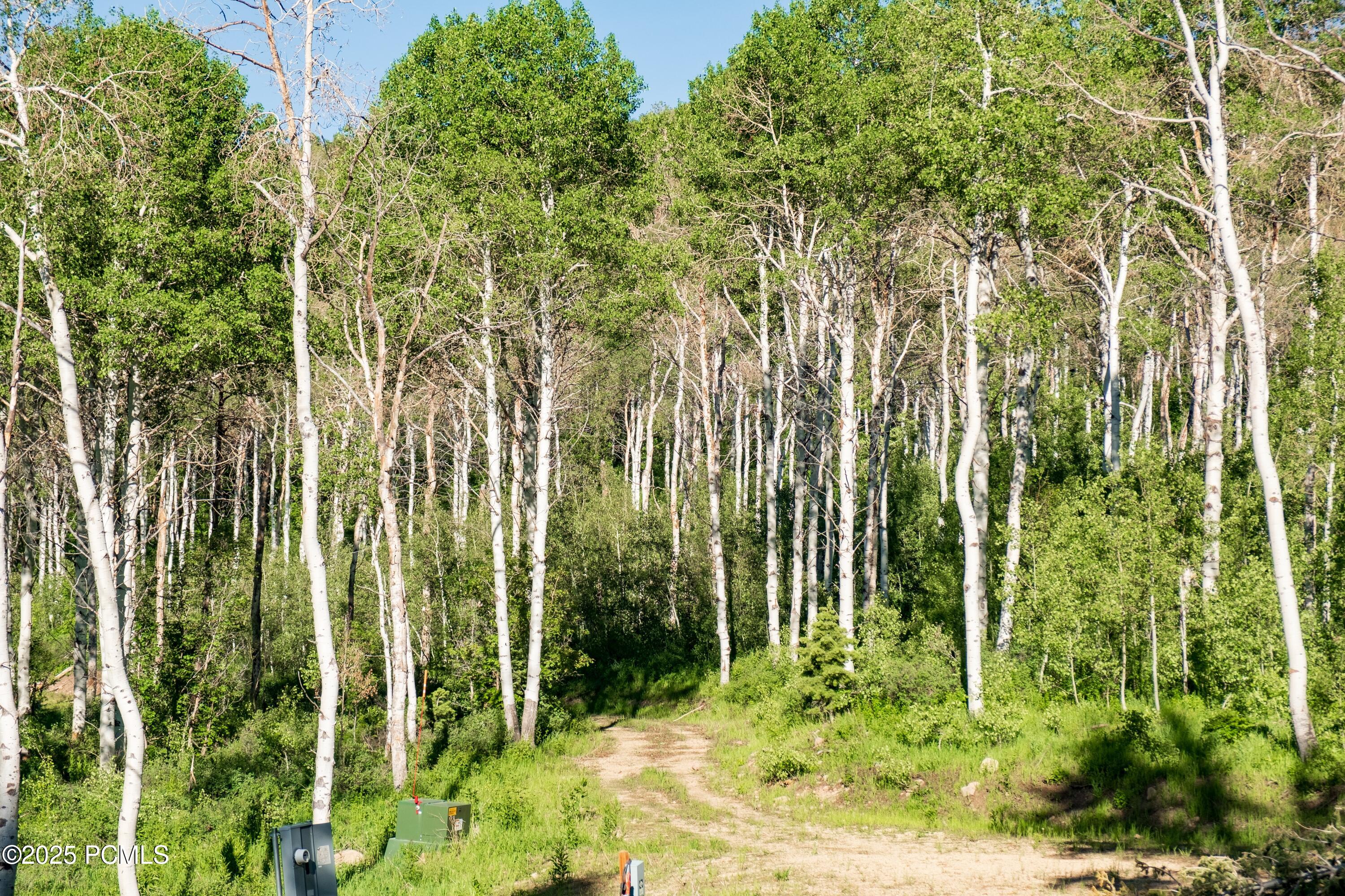 3530 N Wolf Creek Ranch Road, Kamas, Utah image 8