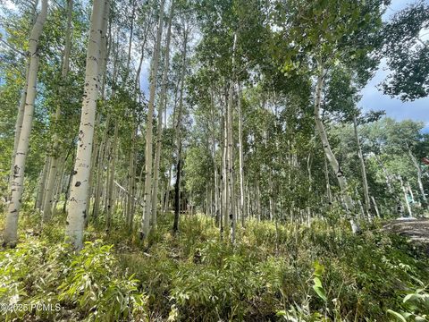 Vacant Land For Sale - 11485 Violet Way<br/> Heber City, UT 84032